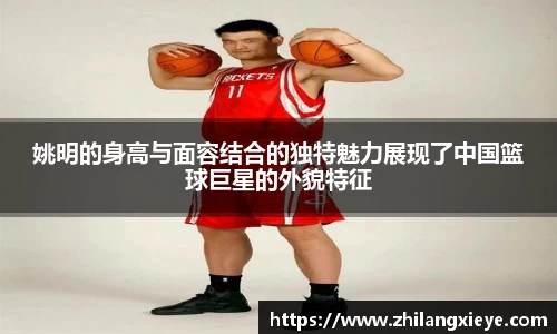 姚明的身高与面容结合的独特魅力展现了中国篮球巨星的外貌特征