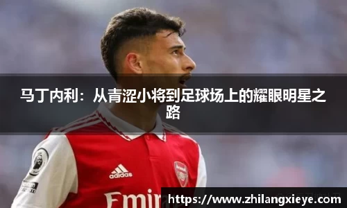 马丁内利：从青涩小将到足球场上的耀眼明星之路