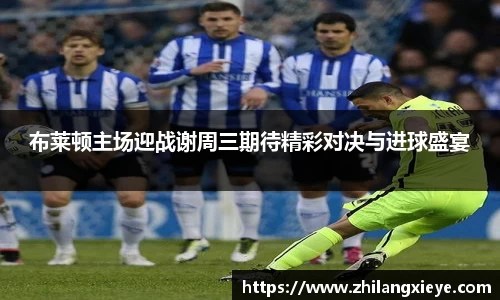 布莱顿主场迎战谢周三期待精彩对决与进球盛宴